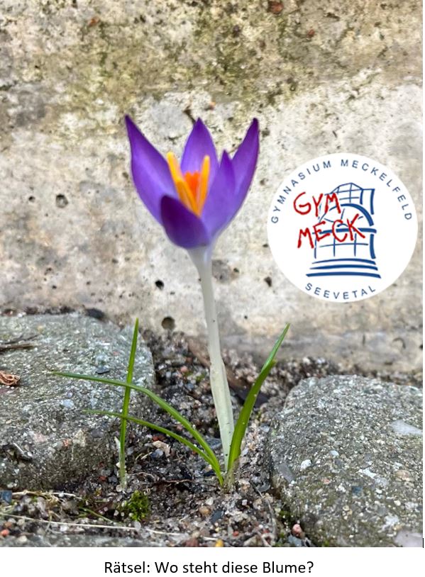 Gymnasium Meckelfeld